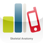 Skeletal Anatomy
